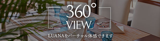 360度ビュー