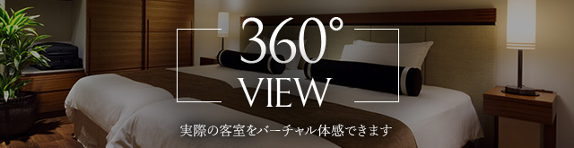 360度ビュー