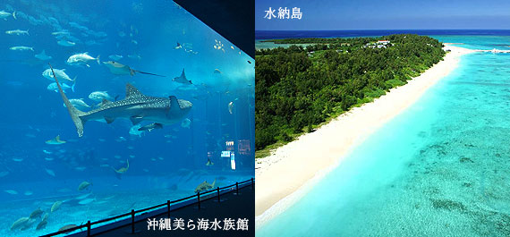 観光客に人気の北部エリア 沖縄美ら海水族館、水納島