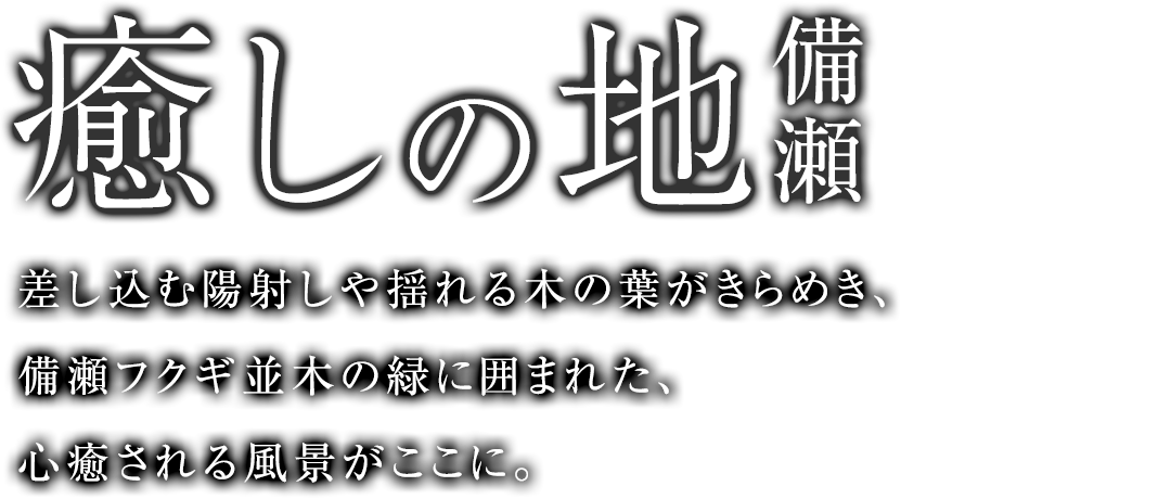 癒やしの地 備瀬