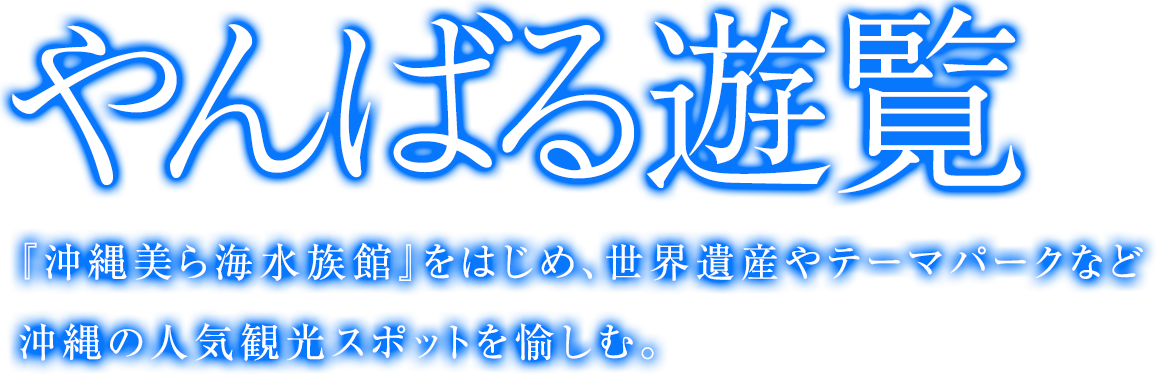 やんばる遊覧